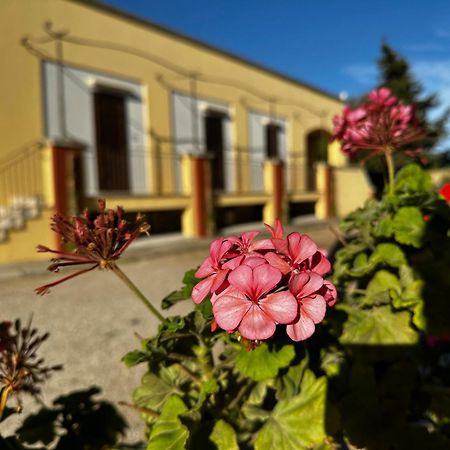 Agriturismo Il Trappeto Gallipoli Dış mekan fotoğraf