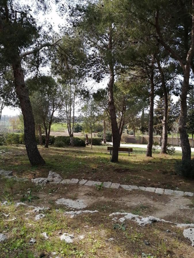 Agriturismo Il Trappeto Gallipoli Dış mekan fotoğraf