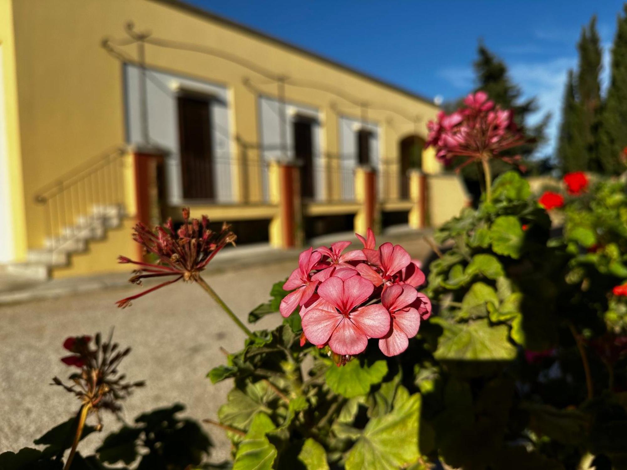 Agriturismo Il Trappeto Gallipoli Dış mekan fotoğraf