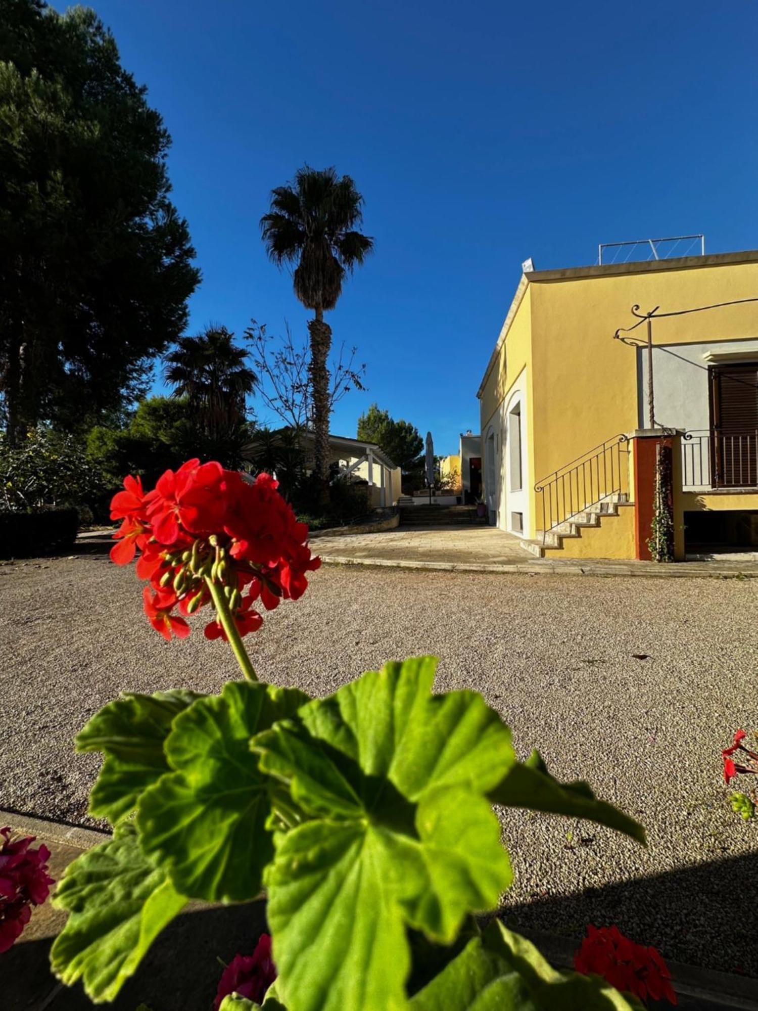 Agriturismo Il Trappeto Gallipoli Dış mekan fotoğraf